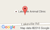 Lakeville Animal Clinic Location