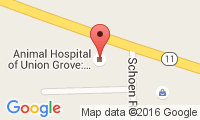 Animal Hospital Of Union Grove Location