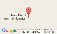 Paw Prints Animal Hospital Location