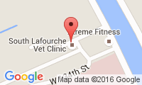 South Lafourche Veterinary Clinic Location