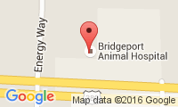 Bridgeport Animal Hospital Location