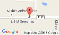 Silsbee Animal Clinic Location
