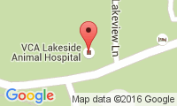 Vca Lakeside Animal Hospital Location