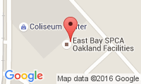 East Bay Spca - Theodore B. Travers Family Veterinary Clinic Location