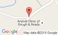 Animal Clinic Of Rough & Ready Location