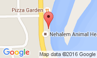 Nehalem Animal Healing Location