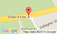 Paw Pad Location