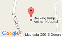 Basking Ridge Animal Hospital Location