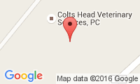 Colts Head Vet Srvs Location