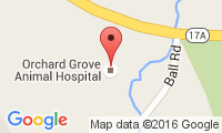 Orchard Grove Animal Hospital Location