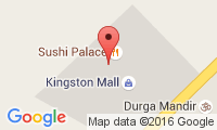 Kingston Animal Hospital Location
