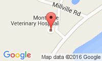 Montague Veterinary Hospital Location