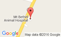 Mt Bethel Animal Hospital Location