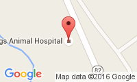 Billings Animal Hospital Location