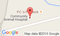 Community Animal Hospital Location