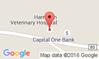 Hampton Veterinary Hospital Location