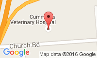 Cummings Veterinary Hospital Location
