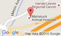 Mattatuck Animal Hospital Location