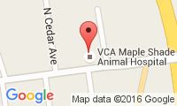 Maple Shade Animal Hospital Location
