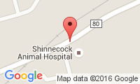 Shinnecock Animal Hospital Location