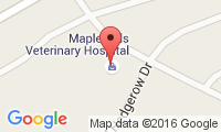 Maple Hills Veterinary Hospital Location