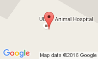 Ulster Animal Hospital Location