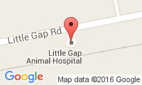 Little Gap Animal Hospital Location