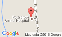 Pottsgrove Animal Hospital Location