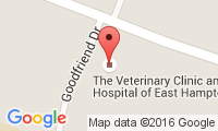 Veterinary Clinic Of East Hampton Location