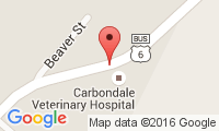 Carbondale Veterinary Hospital - Henry J Nebzydosk Location