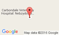 Carbondale Veterinary Hospital - Henry J Nebzydosk Location