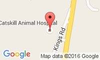 Catskill Animal Hospital Location