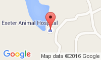 Exeter Animal Hospital Location