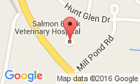 Salmon Brook Veterinary Hospital Location