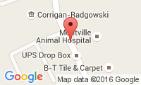 Montville Animal Hospital Location