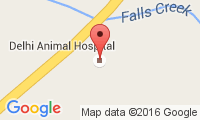 Delhi Animal Hospital Location