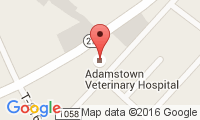 Adamstown Veterinary Hospital Location