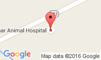 Delmar Animal Hospital Location