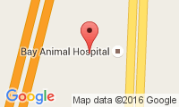 Bay Animal Hospital Location