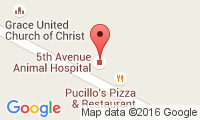 5Th Avenue Animal Hospital Location