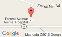 Forrest Avenue Animal Hospital Location
