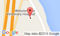 Webster Lake Veterinary Hospital Location
