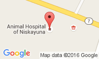 Animal Hospital Of Niskayuna Location