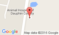 The Animal Hospital Of Dauphan Co Location