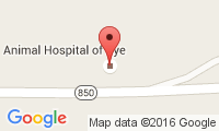 Animal Hospital Of Rye Location