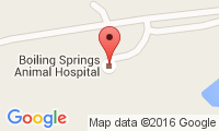 Boiling Springs Animal Hospital Location