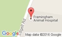 Framingham Animal Hospital Location