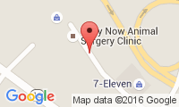 Spay Now Location