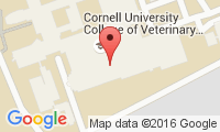Cornell University Hospital For Animals Location