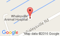 Whaleyville Animal Hospital Location